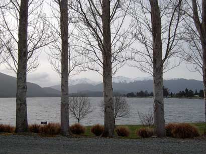Lake Te Anau through the trees